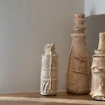 Yucca Calma