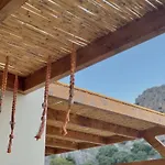 Yucca Calma
