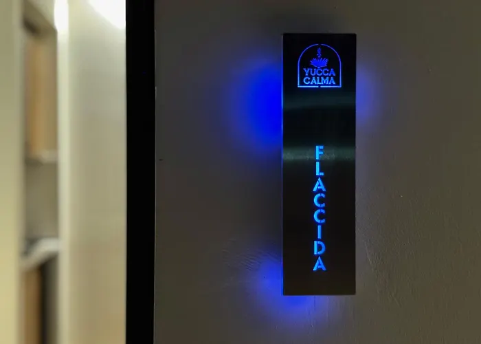 Yucca Calma *